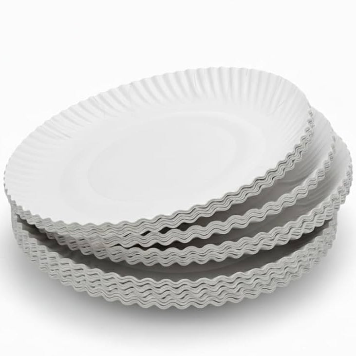 Disposable Paper Plate for DIY/Home