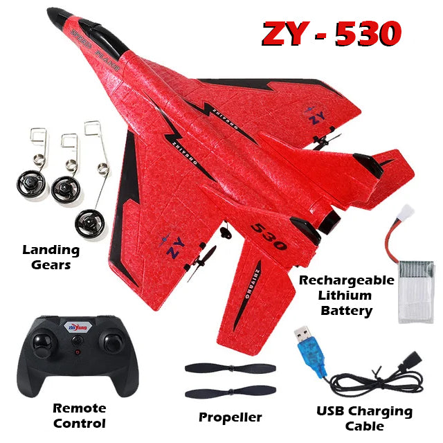 ZY Foam Fighter RC Airplane