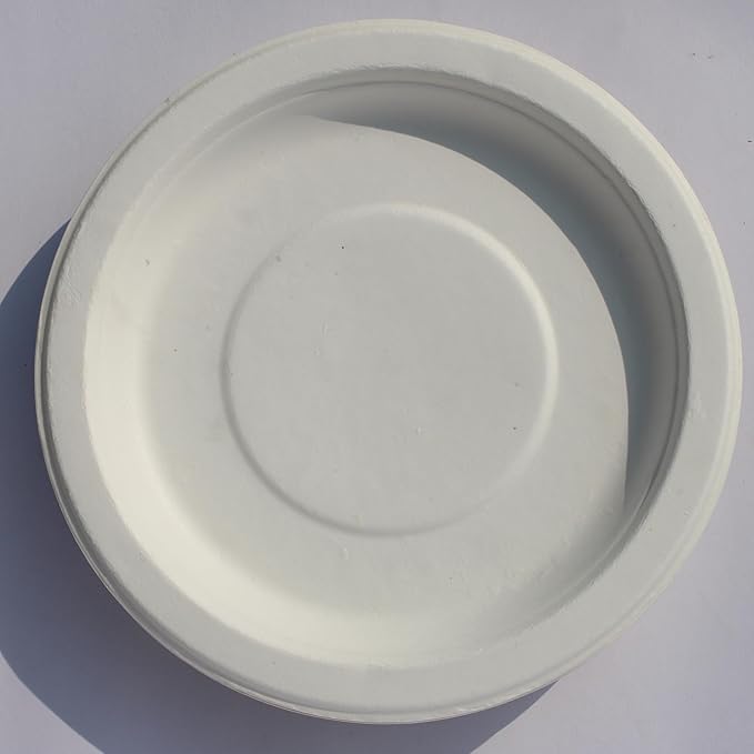 Disposable Paper Plate for DIY/Home