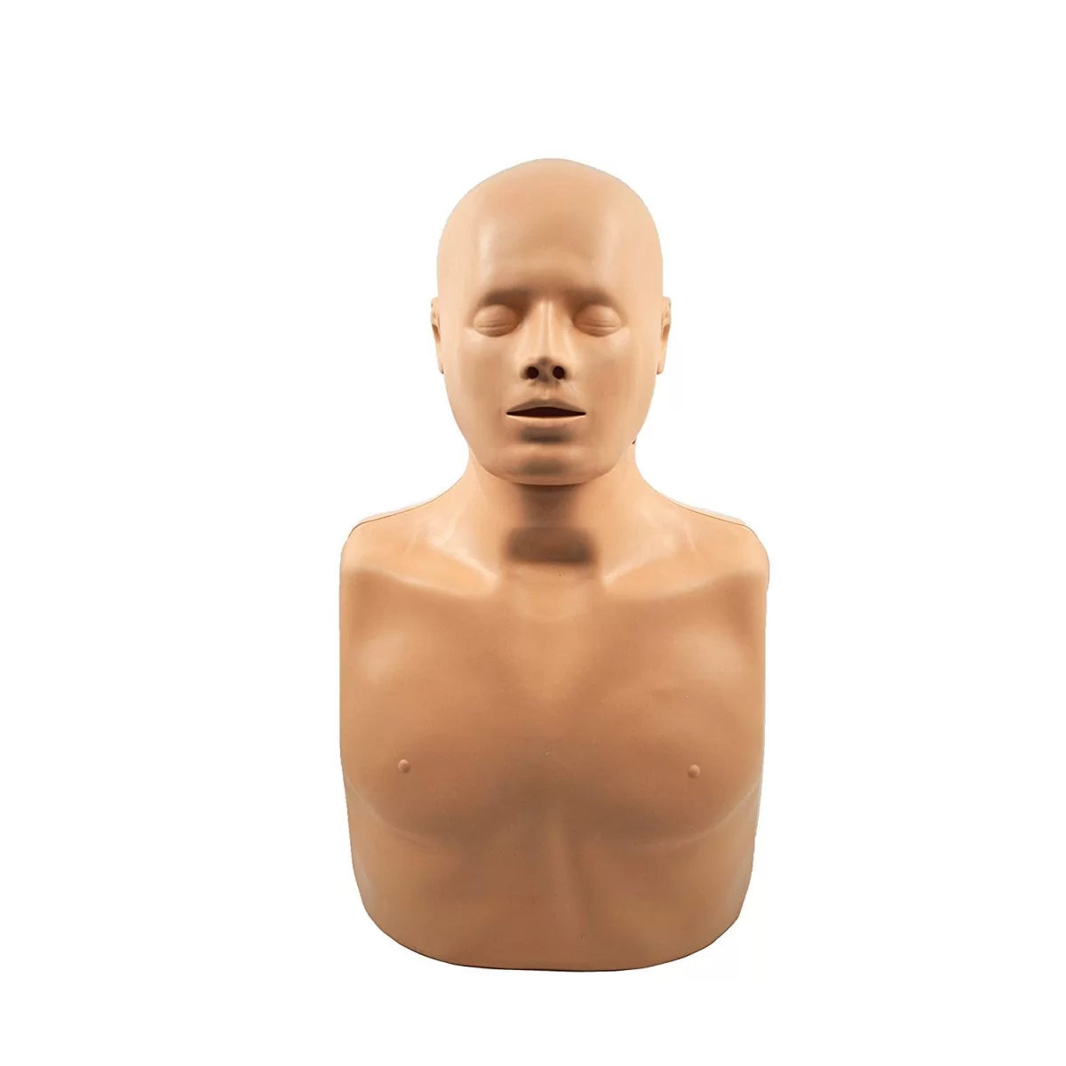 Half Body CPR Training Model (Male)