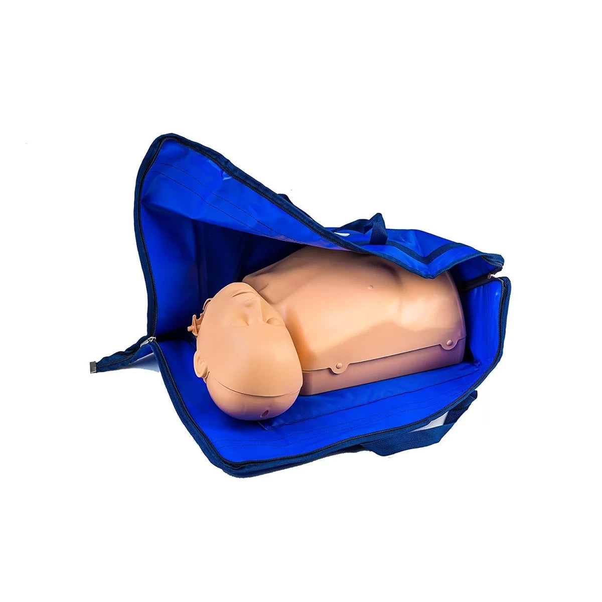 Half Body CPR Training Model (Male)