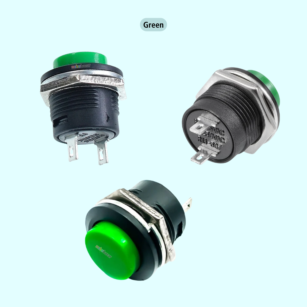 R13-507 16mm 2-Pin Self-Reset Push Button Switch