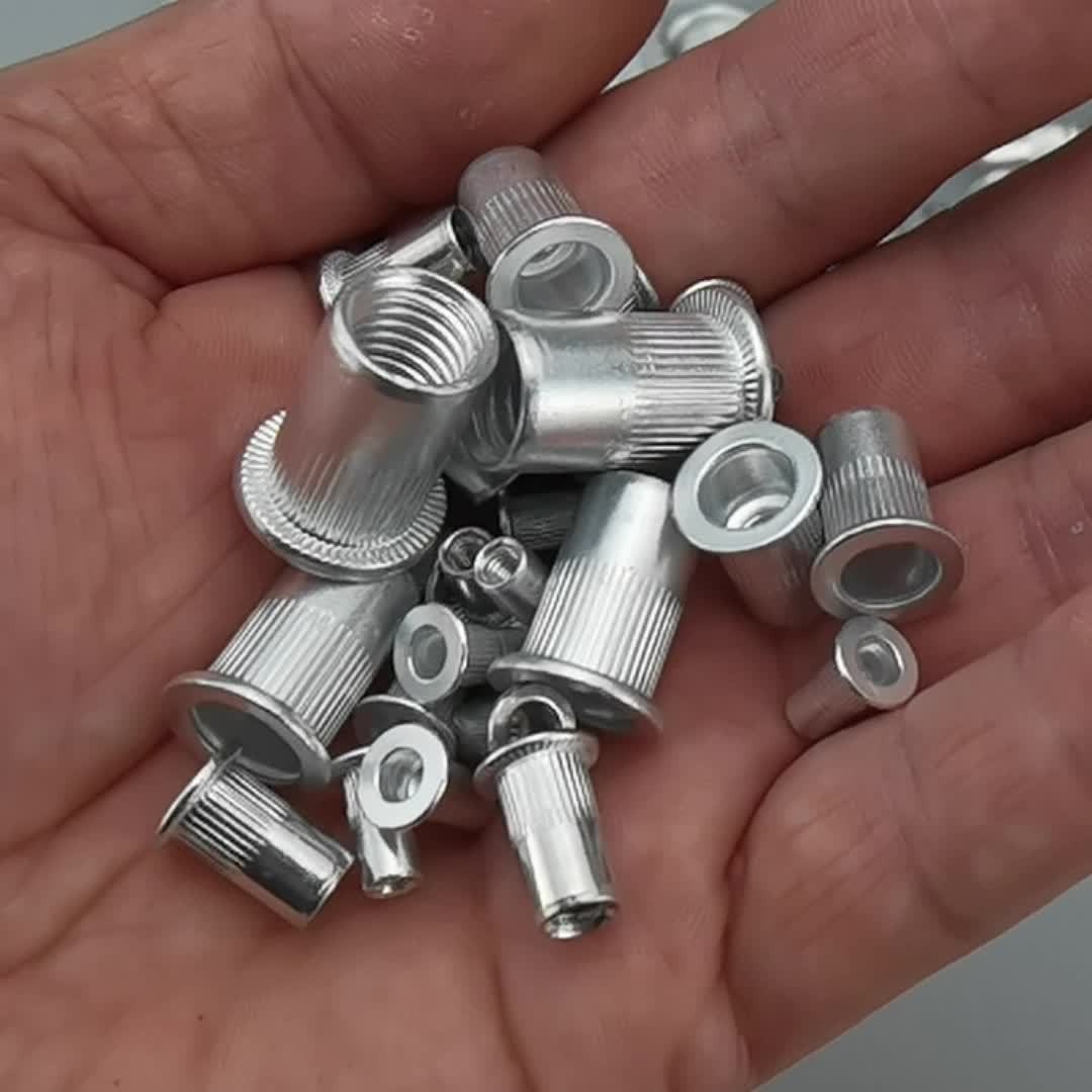 Silver Metal Rivet Insert Nut