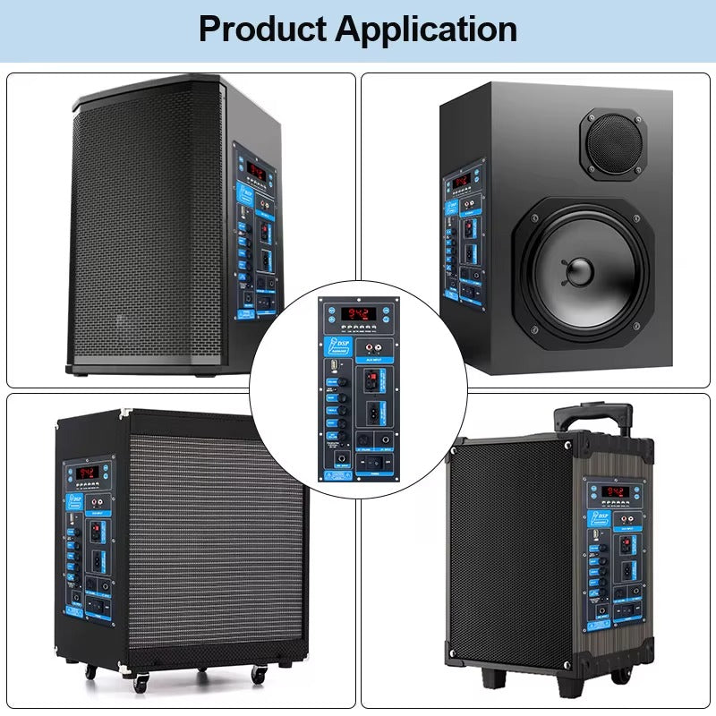 TB01 60W PBTL Mono Plate Amplifier With Karaoke Function And Guitar