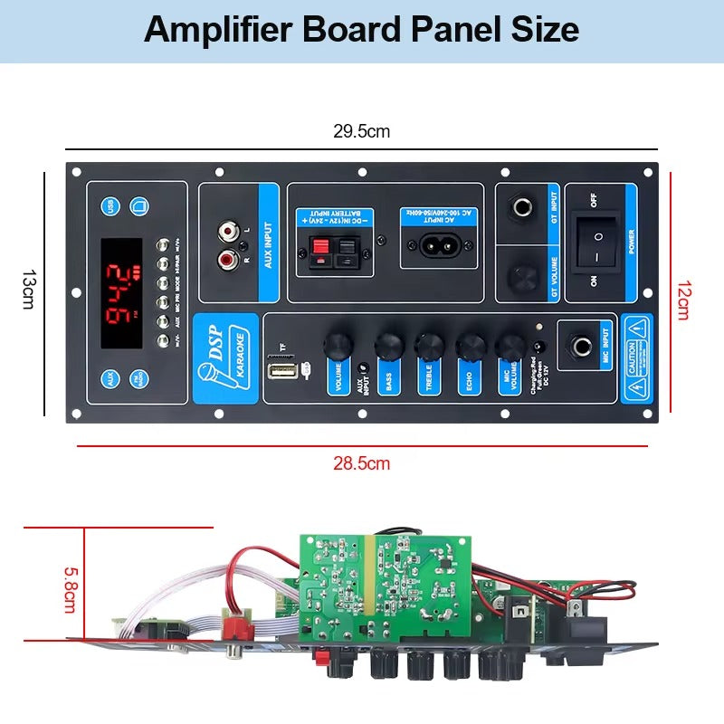 TB01 60W PBTL Mono Plate Amplifier With Karaoke Function And Guitar