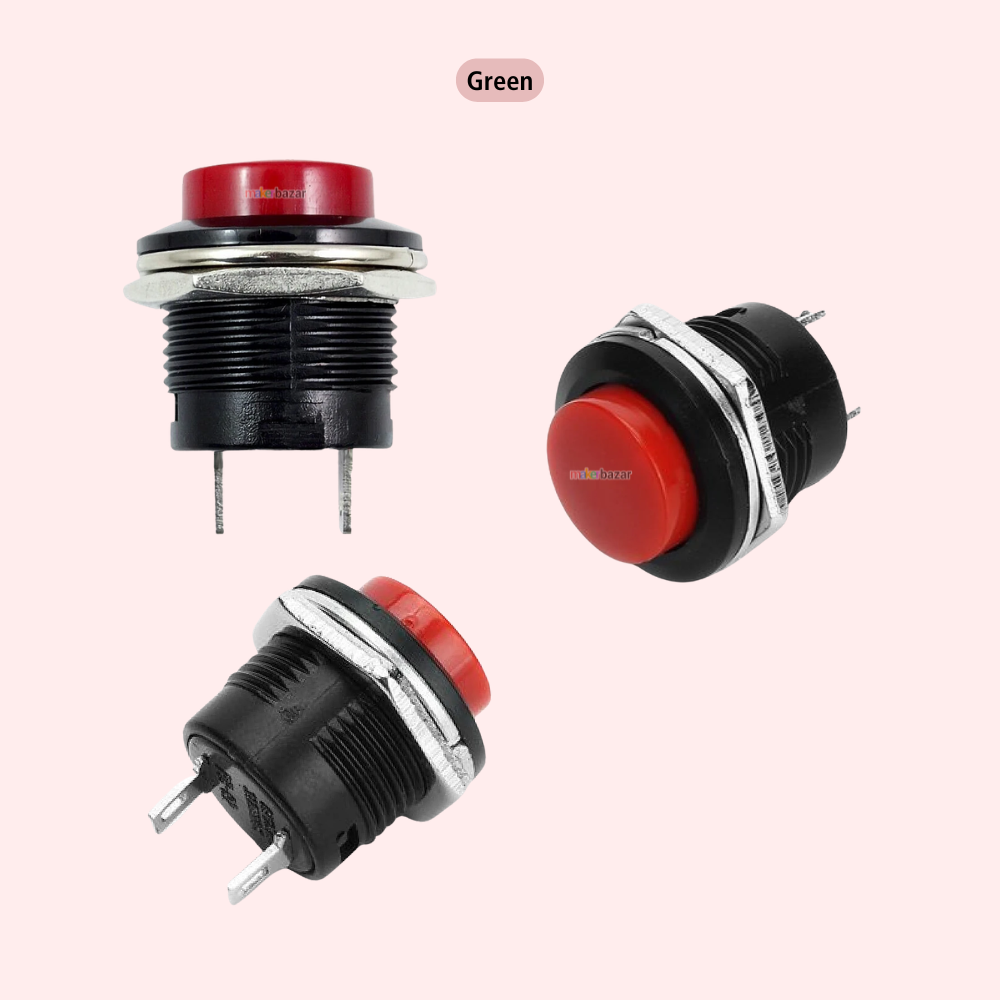 R13-507 16mm 2-Pin Self-Reset Push Button Switch