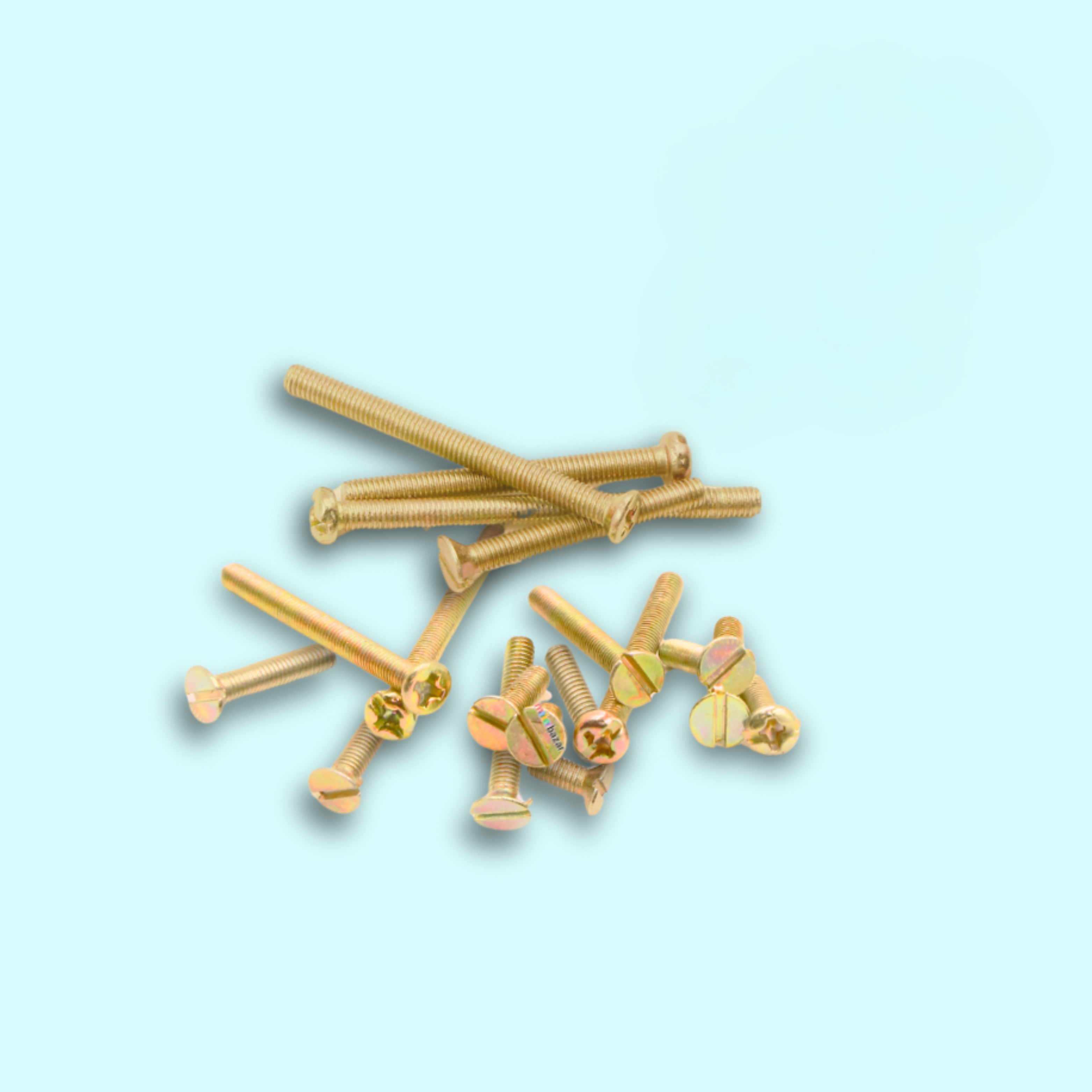 Screws/ Bolts Set (Golden Plated) - Pack of 10
