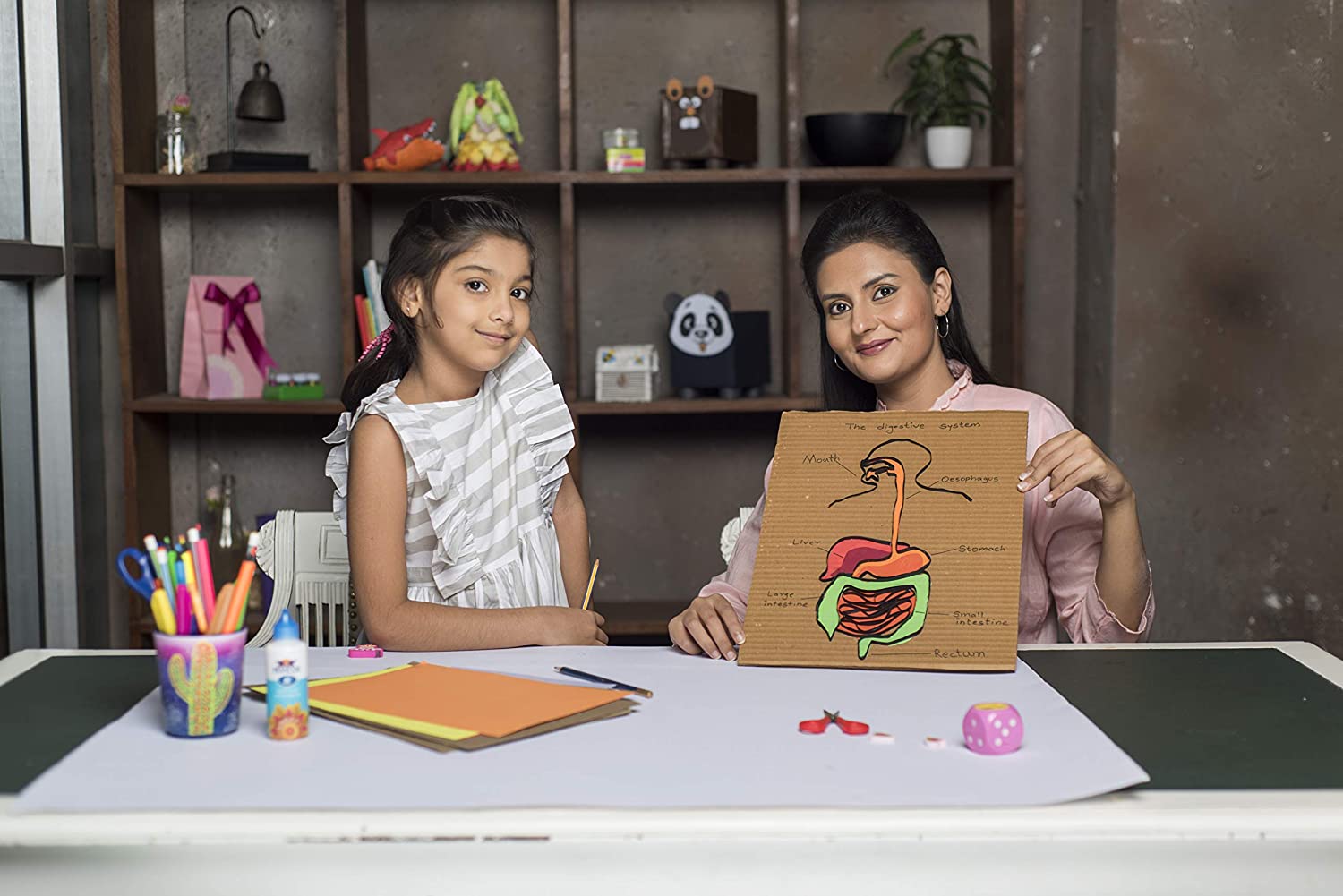 Pidilite: Fevicol MR 200 Gram Craft Glue