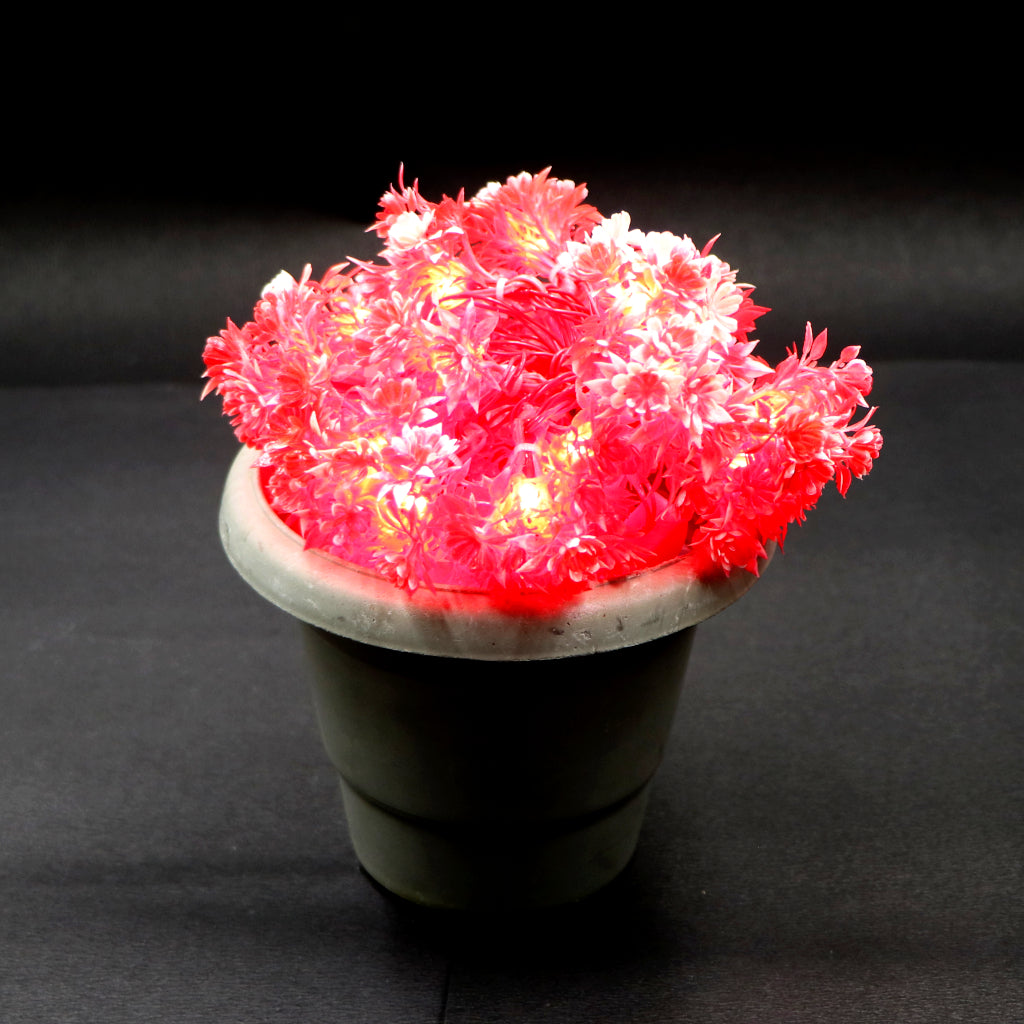 Red Flower with White Tip 24 LED String Fairy Lights