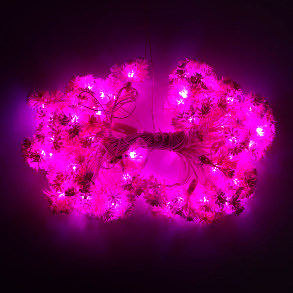Small Pink Flower With White Tip 60 LED String Fairy Lights