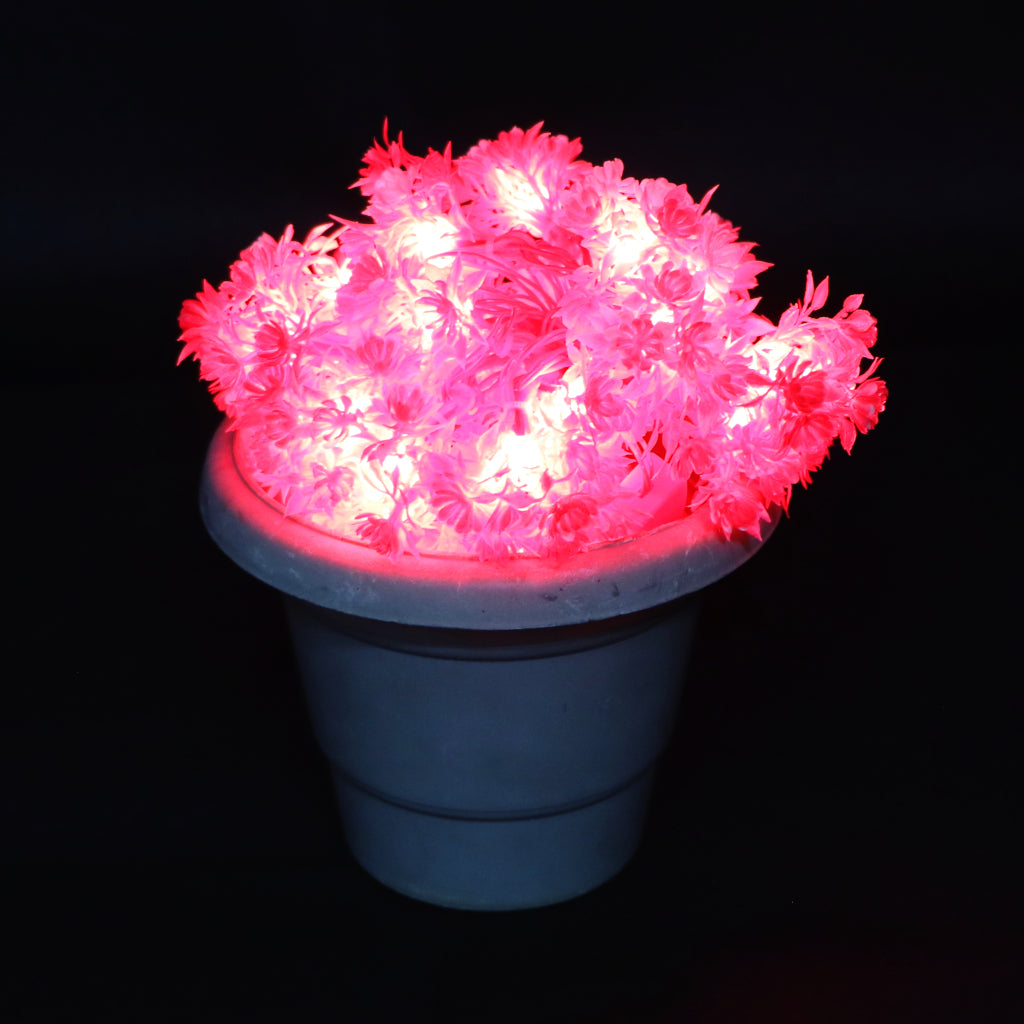 Red Flower with White Tip 24 LED String Fairy Lights