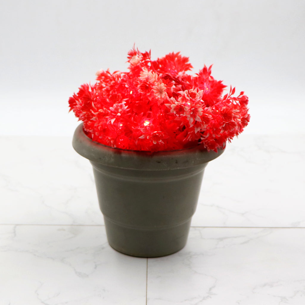 Red Flower with White Tip 24 LED String Fairy Lights
