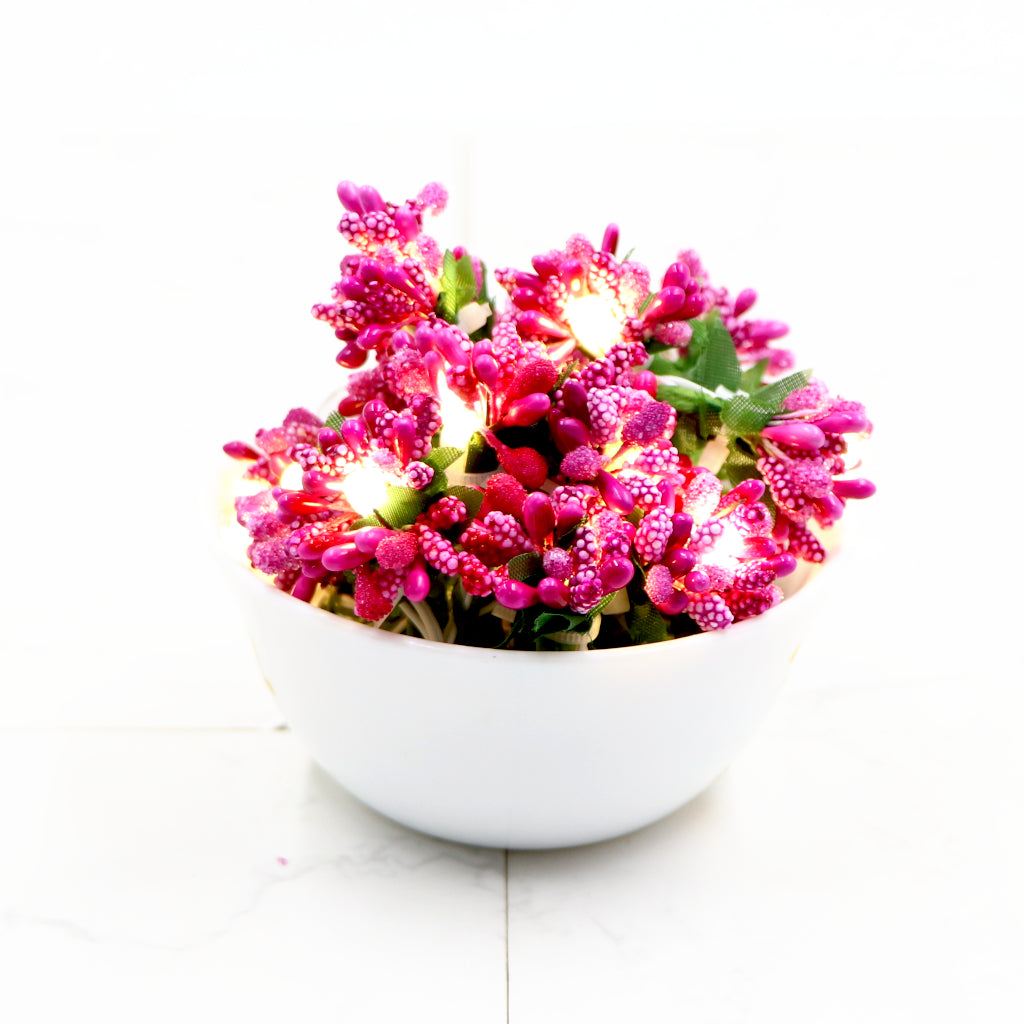 Pink Fruits Mulberry 16 LED String Fairy Lights