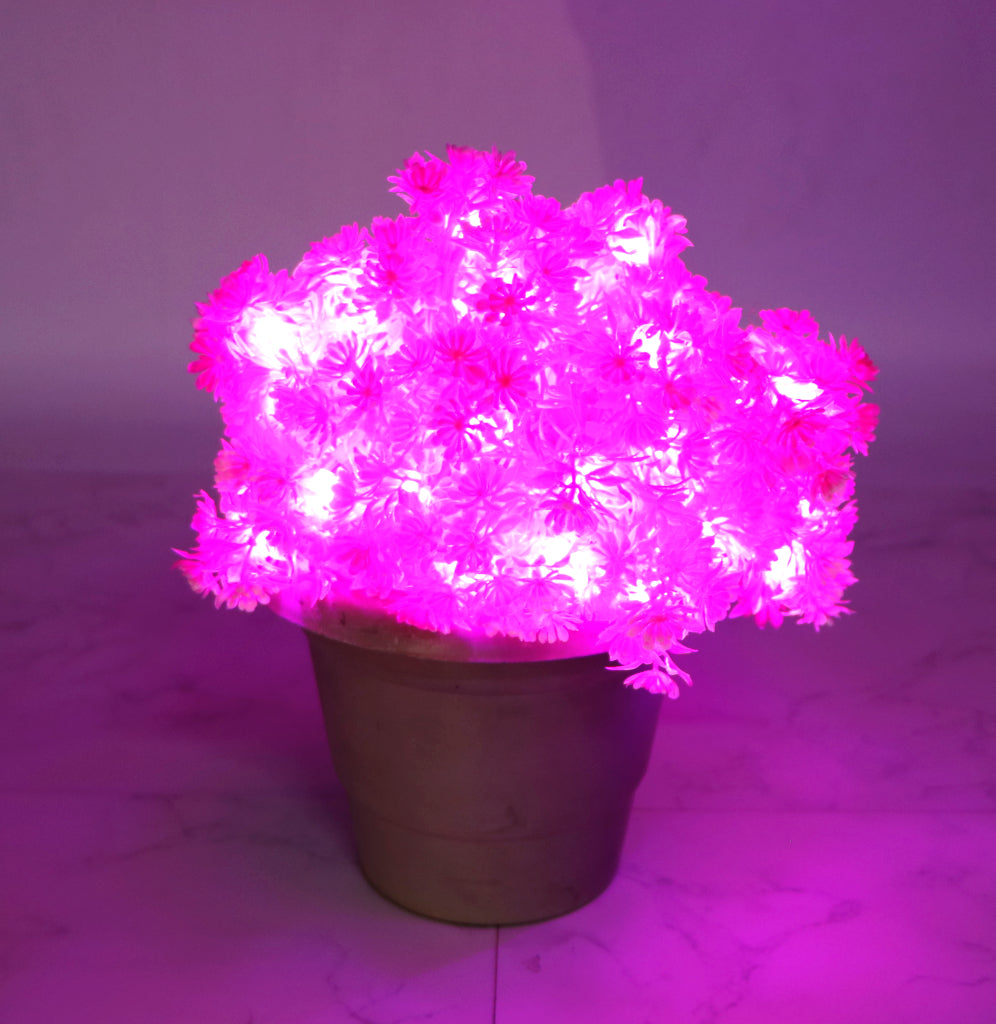 Small Pink Flower With White Tip 60 LED String Fairy Lights