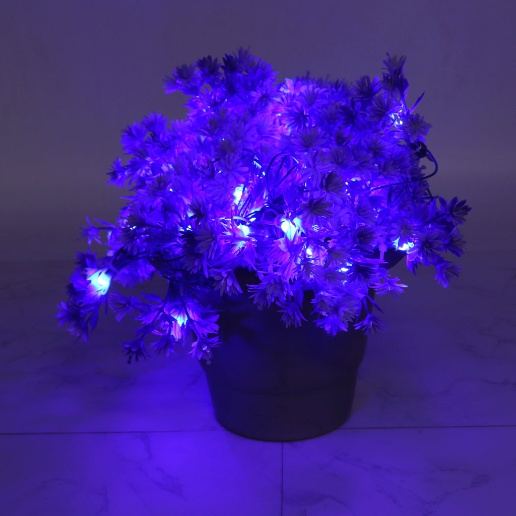 Small Purple Flower With White Tip 60 LED String Fairy Lights