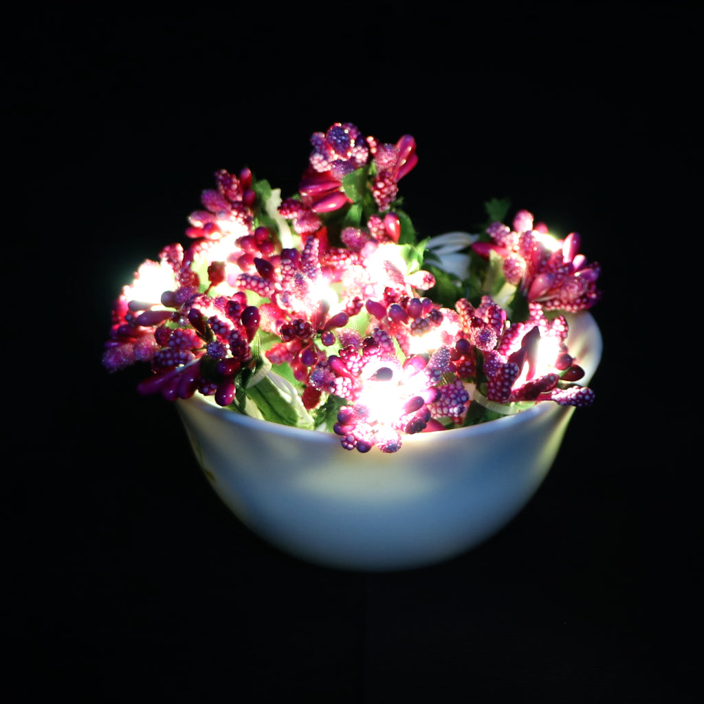 Pink Fruits Mulberry 16 LED String Fairy Lights