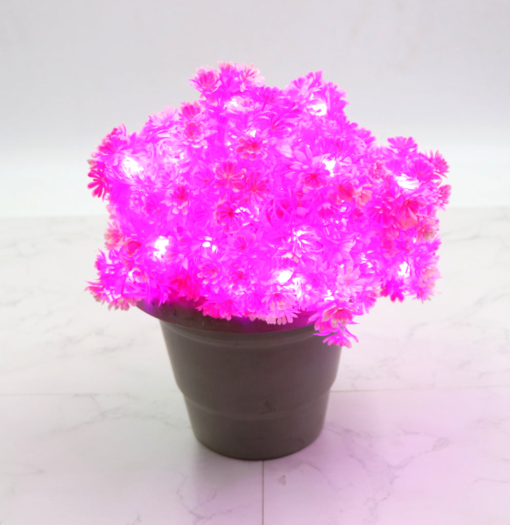 Small Pink Flower With White Tip 60 LED String Fairy Lights