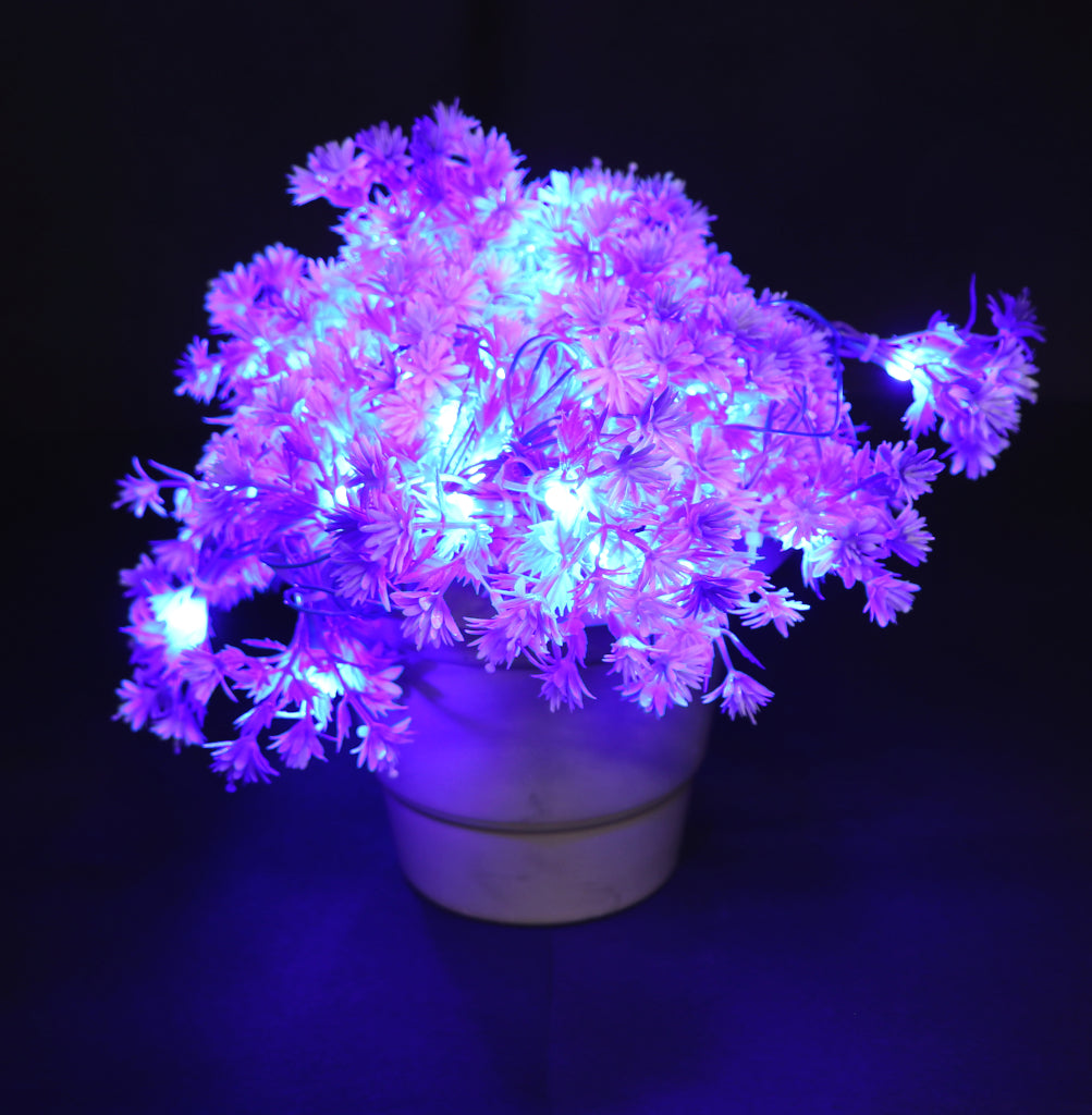 Small Purple Flower With White Tip 60 LED String Fairy Lights