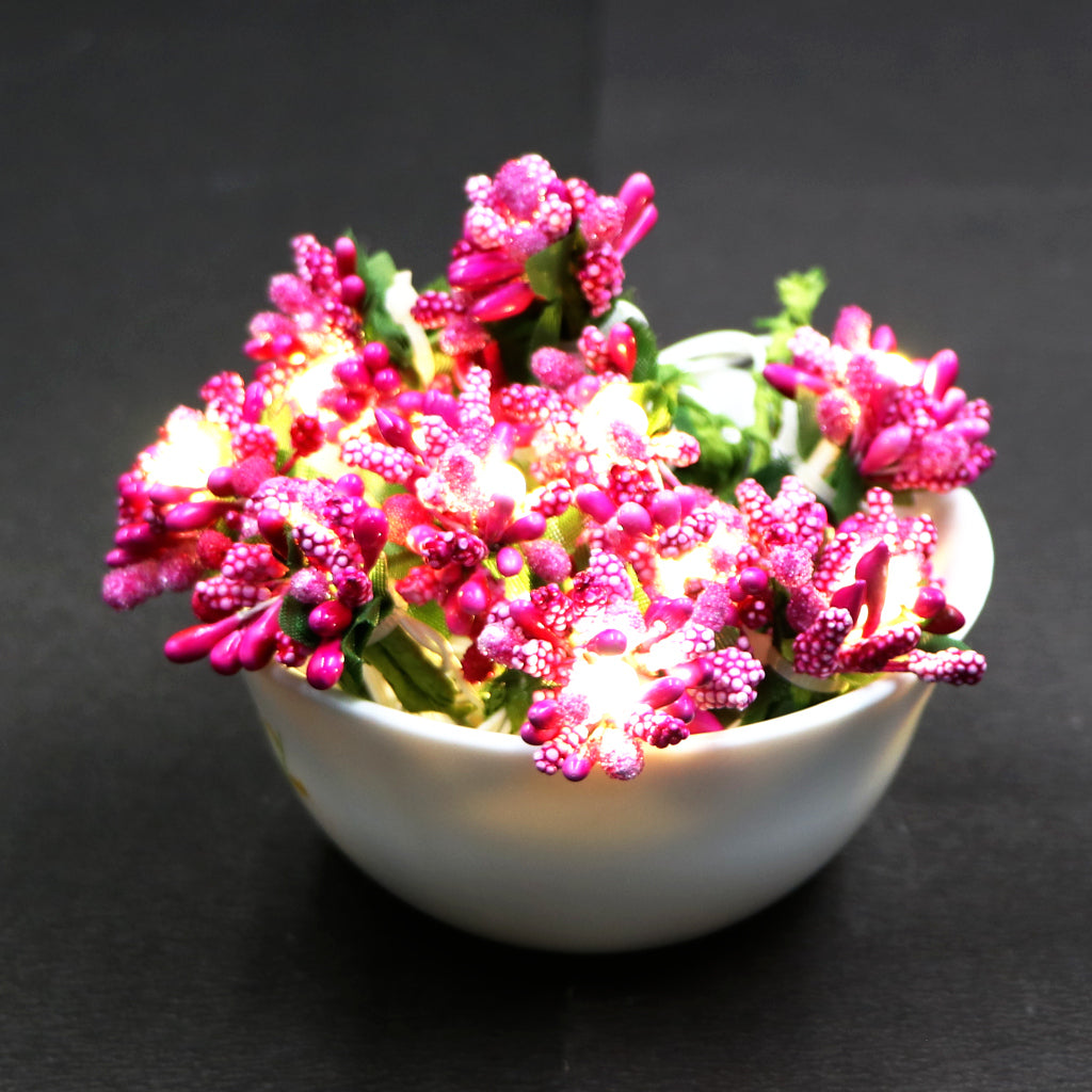 Pink Fruits Mulberry 16 LED String Fairy Lights