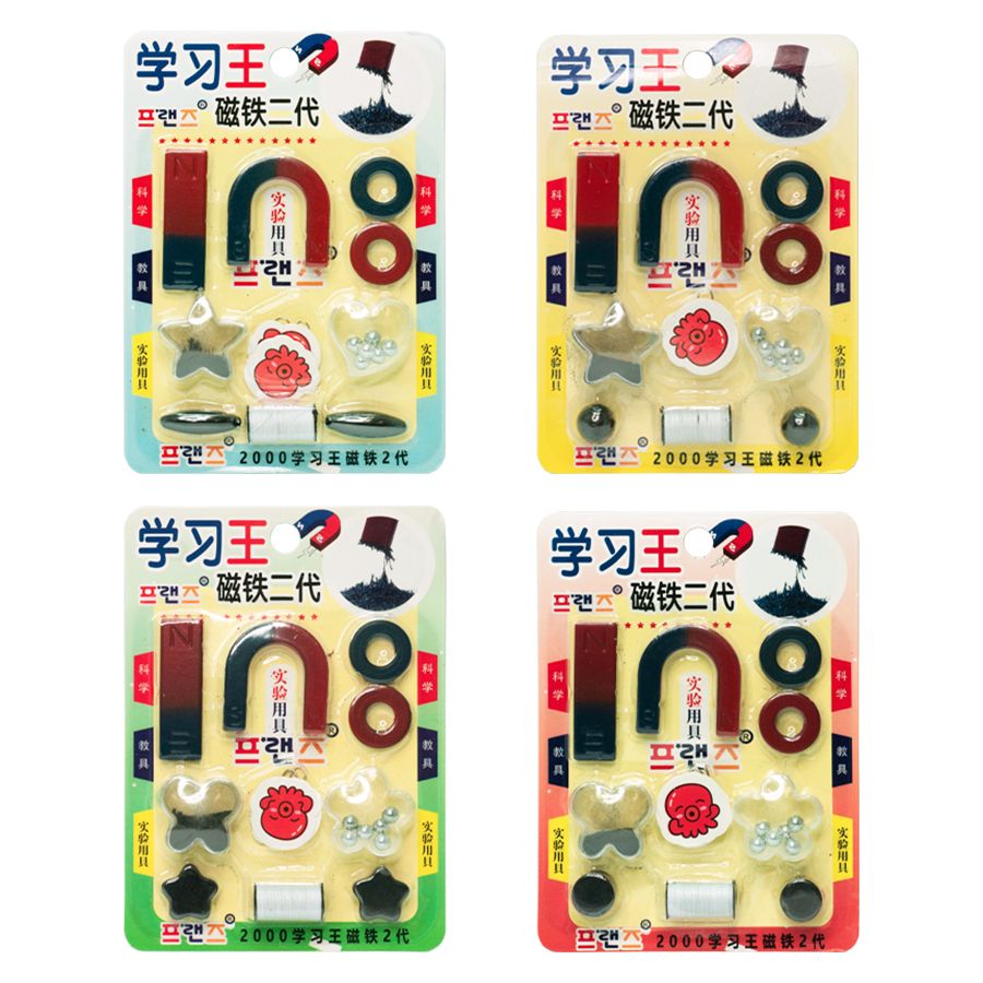 Magnetic Play Set for Kids (Random Designs)