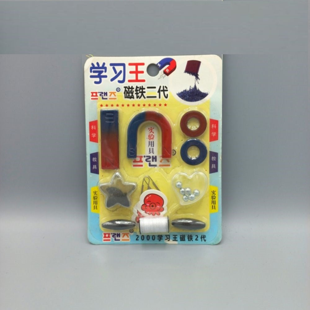 Magnetic Play Set for Kids (Random Designs)