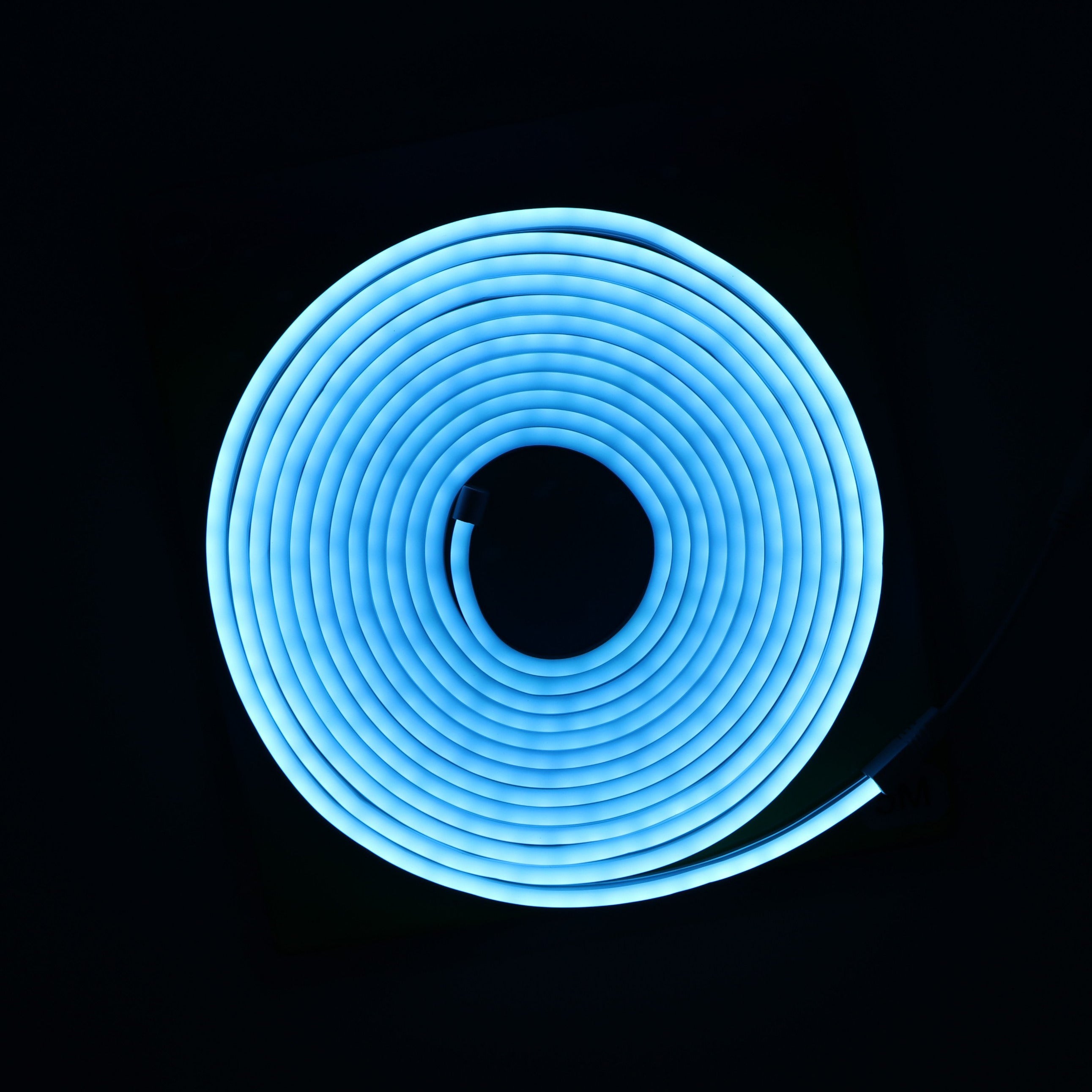 12V 5M Neon Flexible LED Strip Light