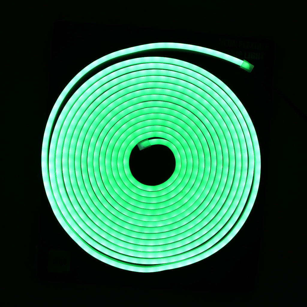 12V 5M Neon Flexible LED Strip Light