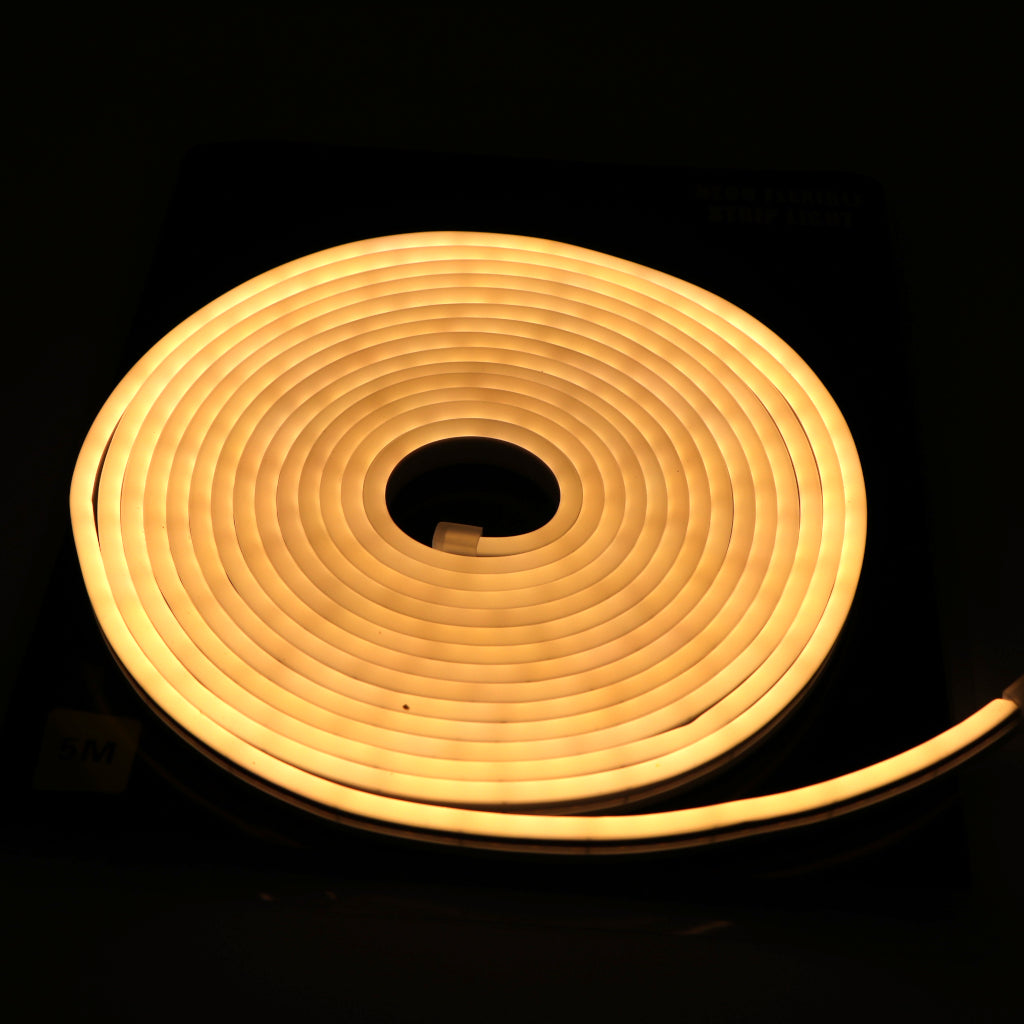 12V 5M Neon Flexible LED Strip Light