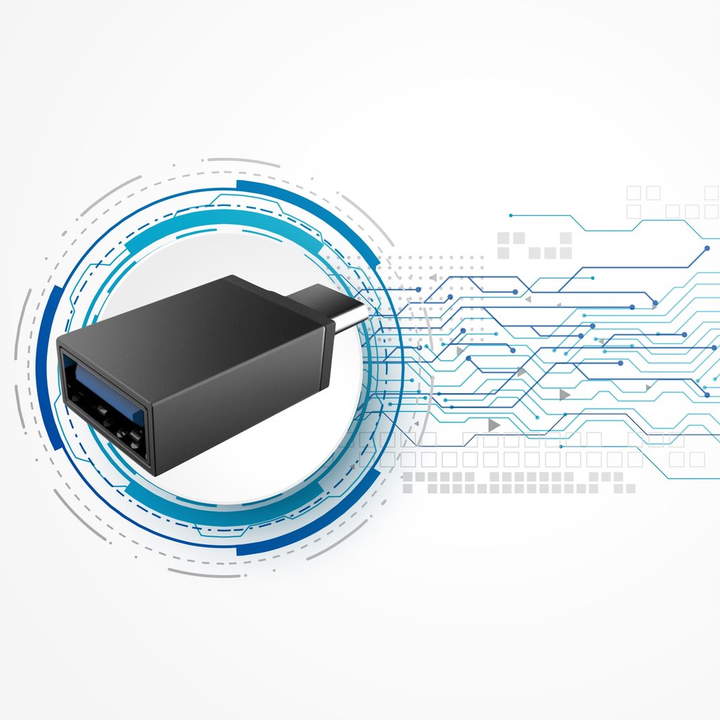 (Low Cost) Little On The Go (OTG) Type C to USB 2.0 Adapter Converter