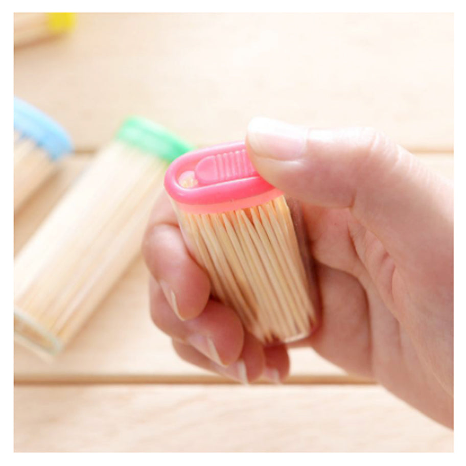 Premium Wooden Toothpick Box (Pointed Heads) with Dispensor for DIY/ Craft