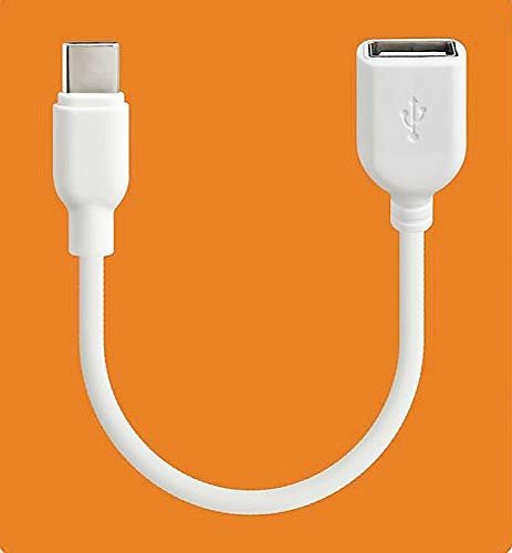 Generic: Type-C to Female USB 2.0 OTG Cable