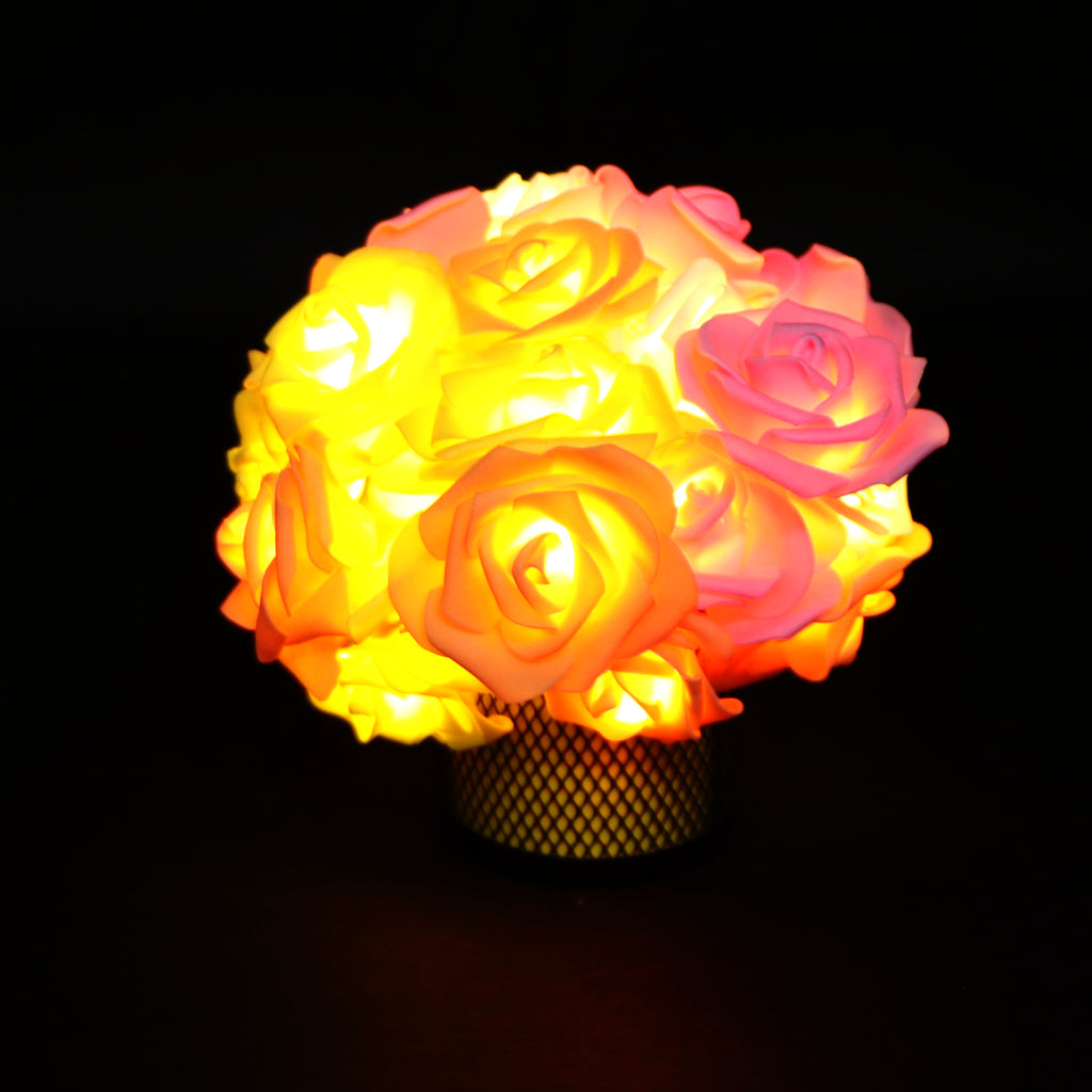 Big Roses Multi-Color 24 LED String Fairy Lights