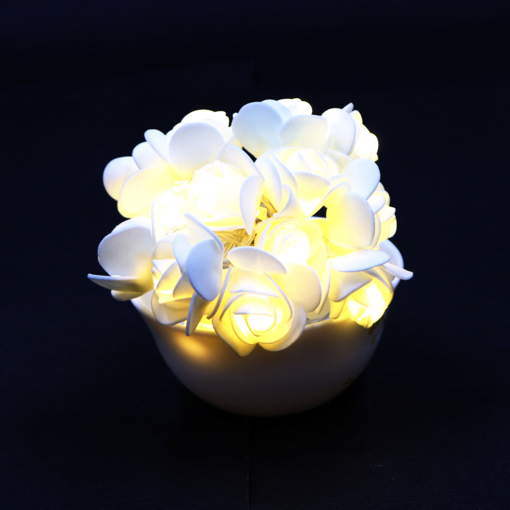 Small White Rose 14 LED String Fairy Lights