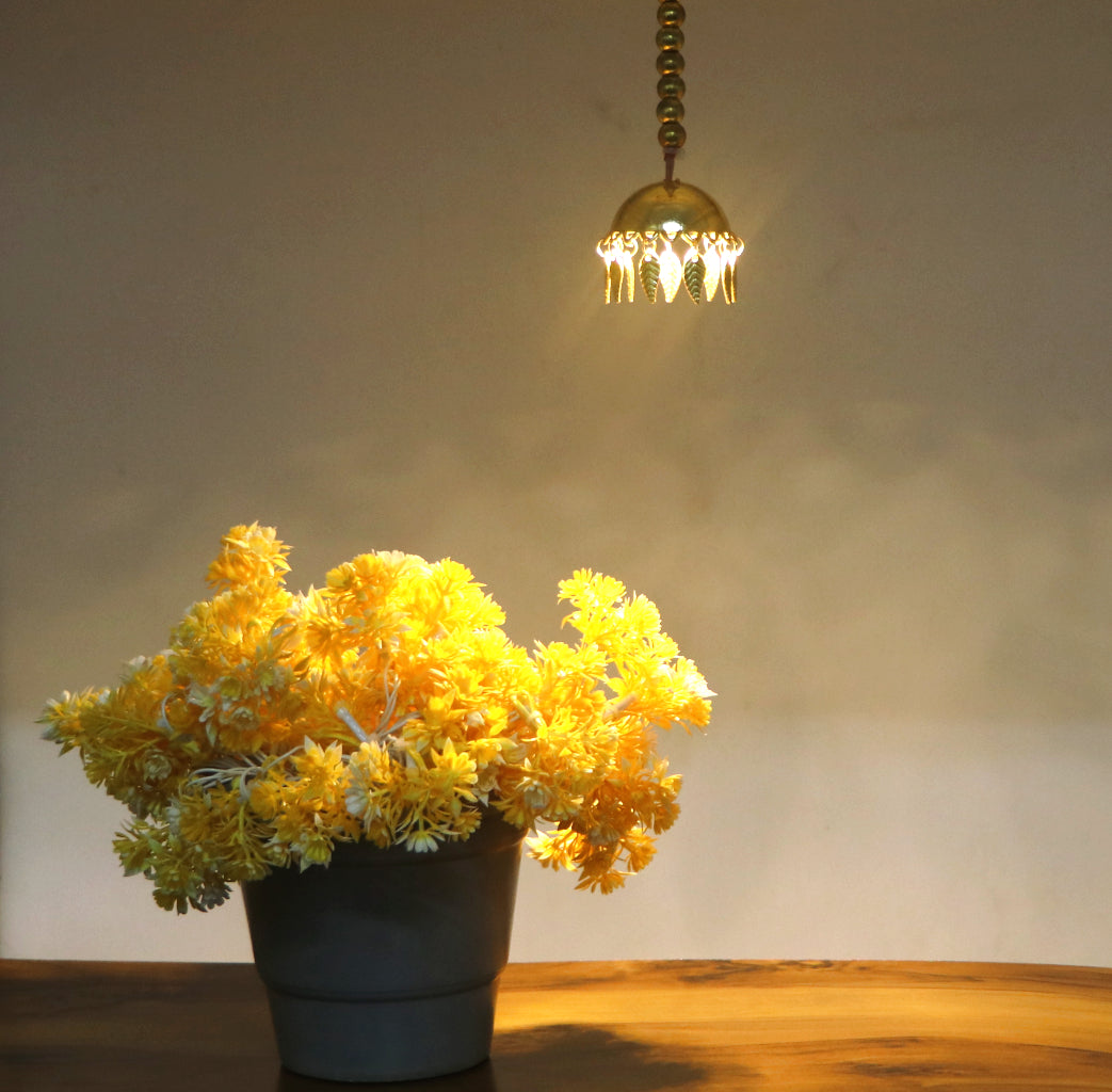 Hanging Simple Semi-Sphere Shape LED Light with Plug