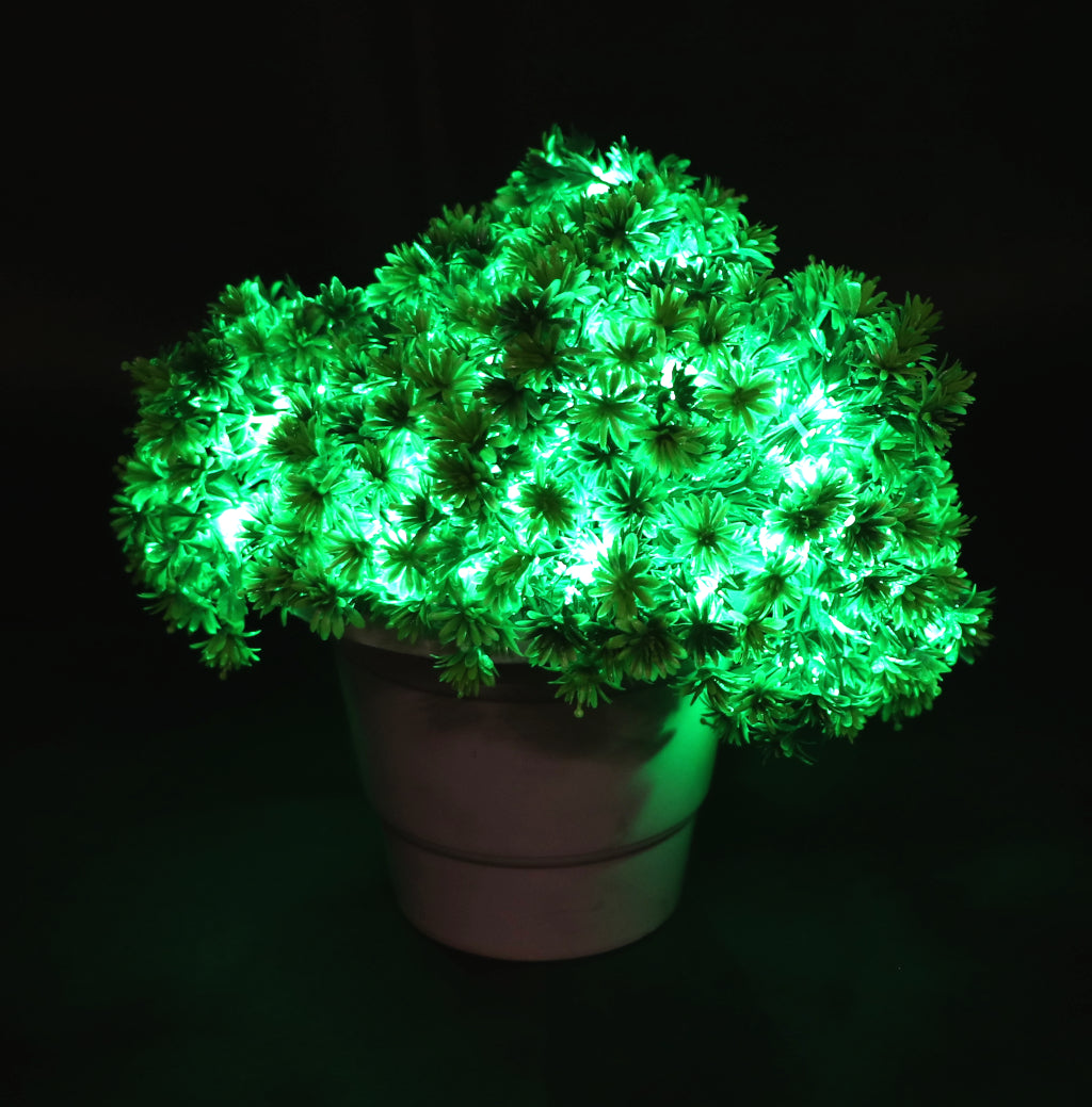 Small Green Flowers 60 LED String Fairy Lights