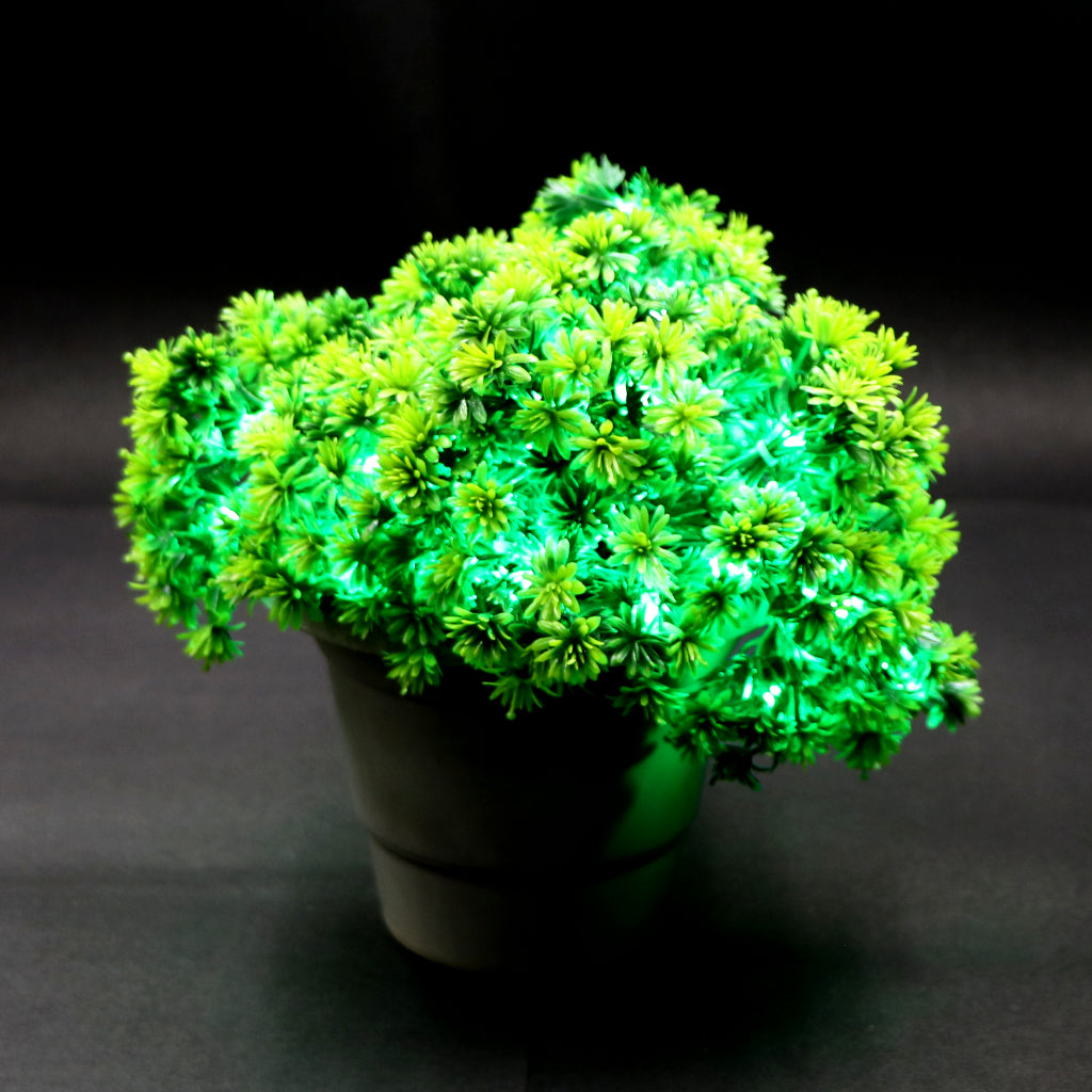 Small Green Flowers 60 LED String Fairy Lights