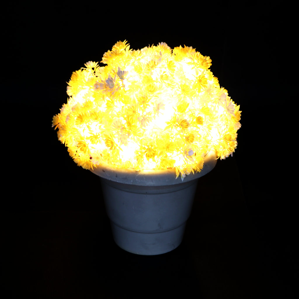 Small Yellow Flower With White Tip 60 LED String Fairy Lights