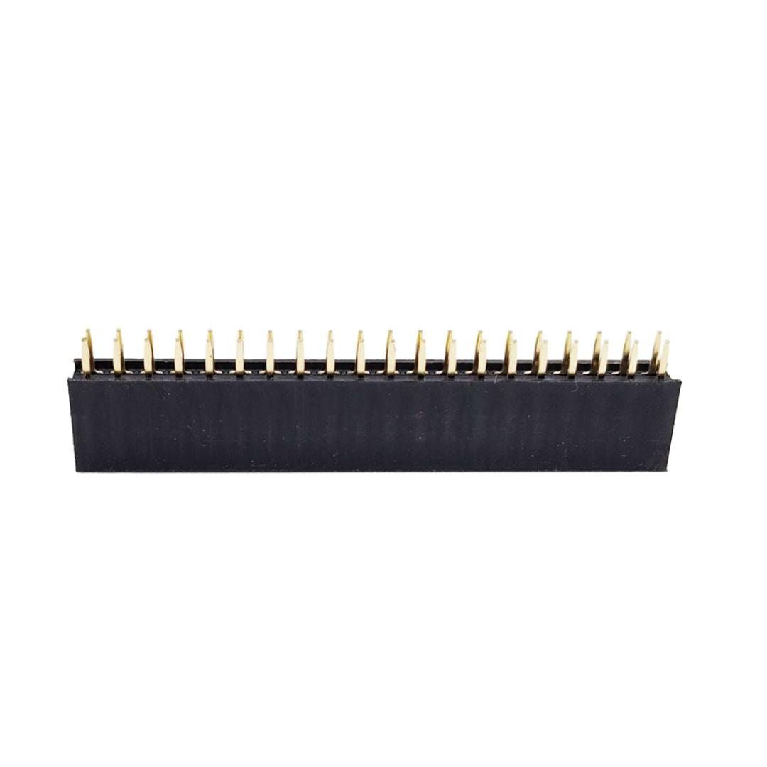 Dual-Row Female Berg Strip 2.54mm DIP Straight Header Pin