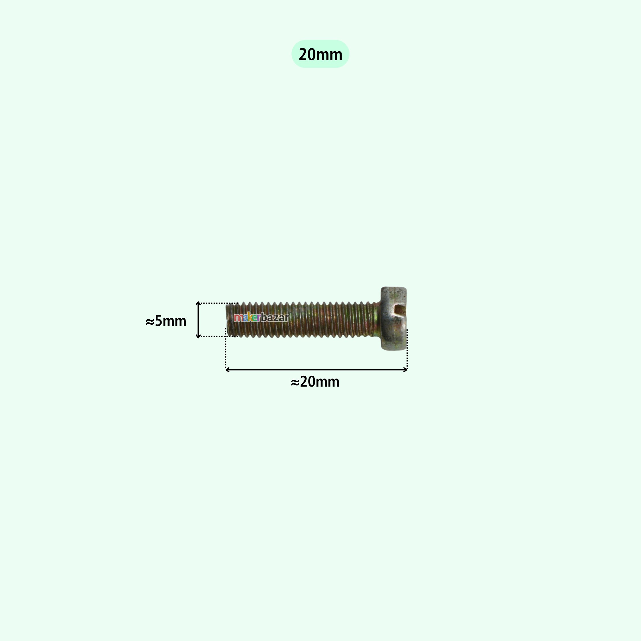 Screws/ Bolts Set (Golden Plated) - Pack of 10