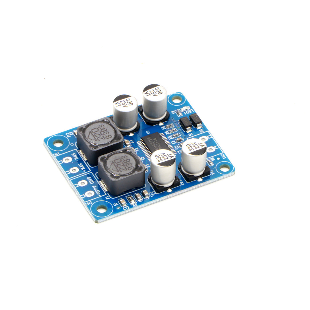 Type 2] Gold-A311 TPA3118 1X60W Mono Digital Power Amplifier Module