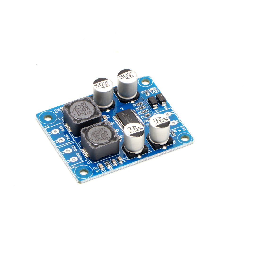 [Type 2] Gold-A311 TPA3118 1X60W Mono Digital Power Amplifier Module