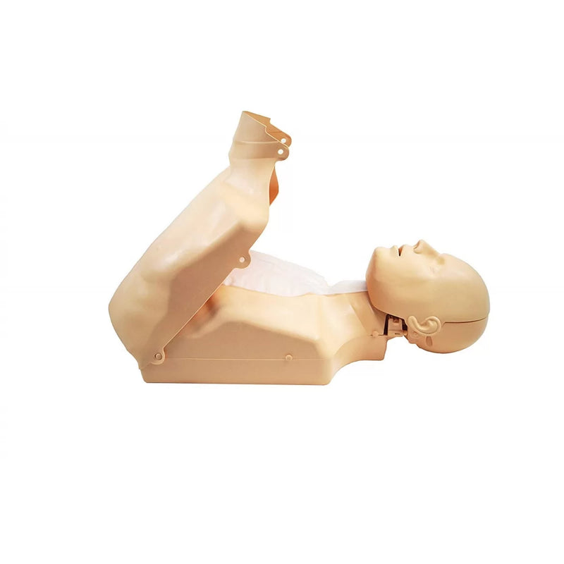 Half Body CPR Training Model (Male)