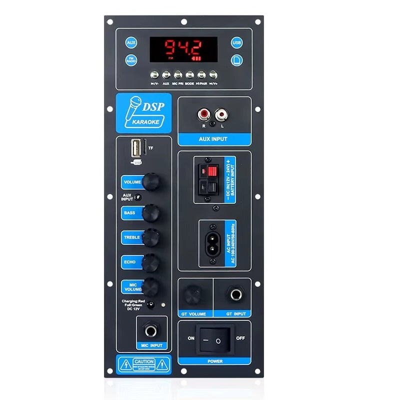TB01 60W PBTL Mono Plate Amplifier With Karaoke Function And Guitar