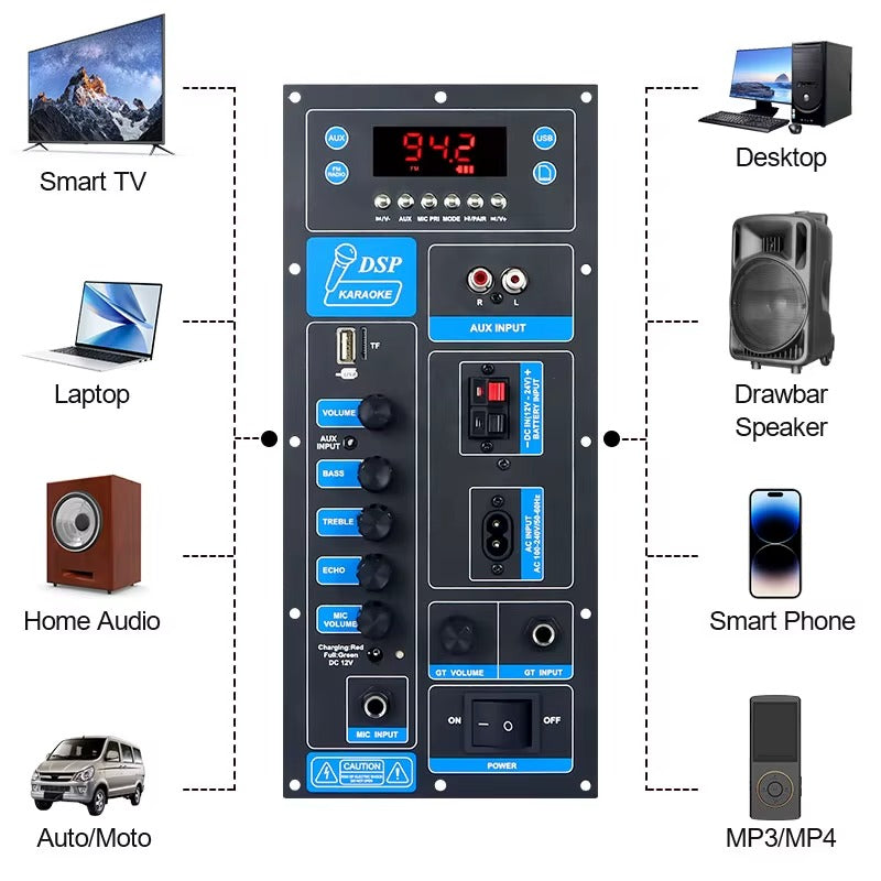 TB01 60W PBTL Mono Plate Amplifier With Karaoke Function And Guitar