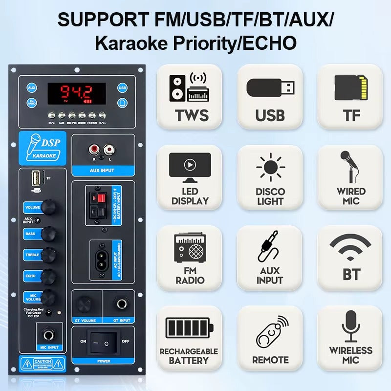 TB01 60W PBTL Mono Plate Amplifier With Karaoke Function And Guitar