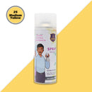 IWIN: Spray Paint Bottle - 400ml/275gms
