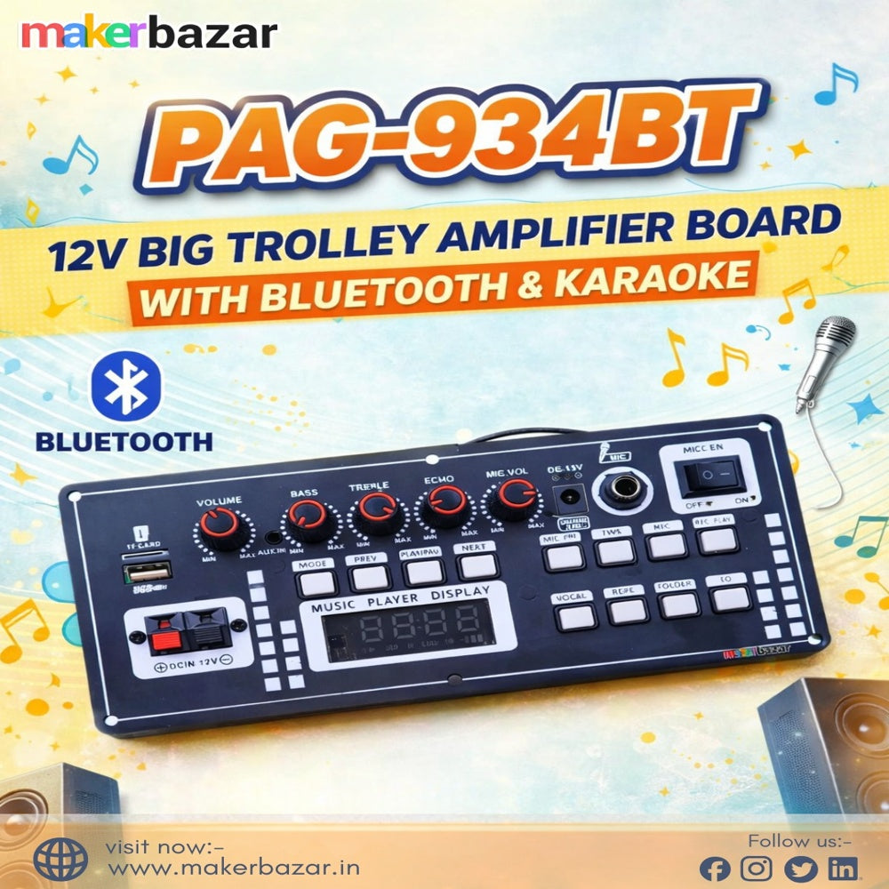PAG-934BT 12V Big Trolley Amplifier Board with Bluetooth & Karaoke
