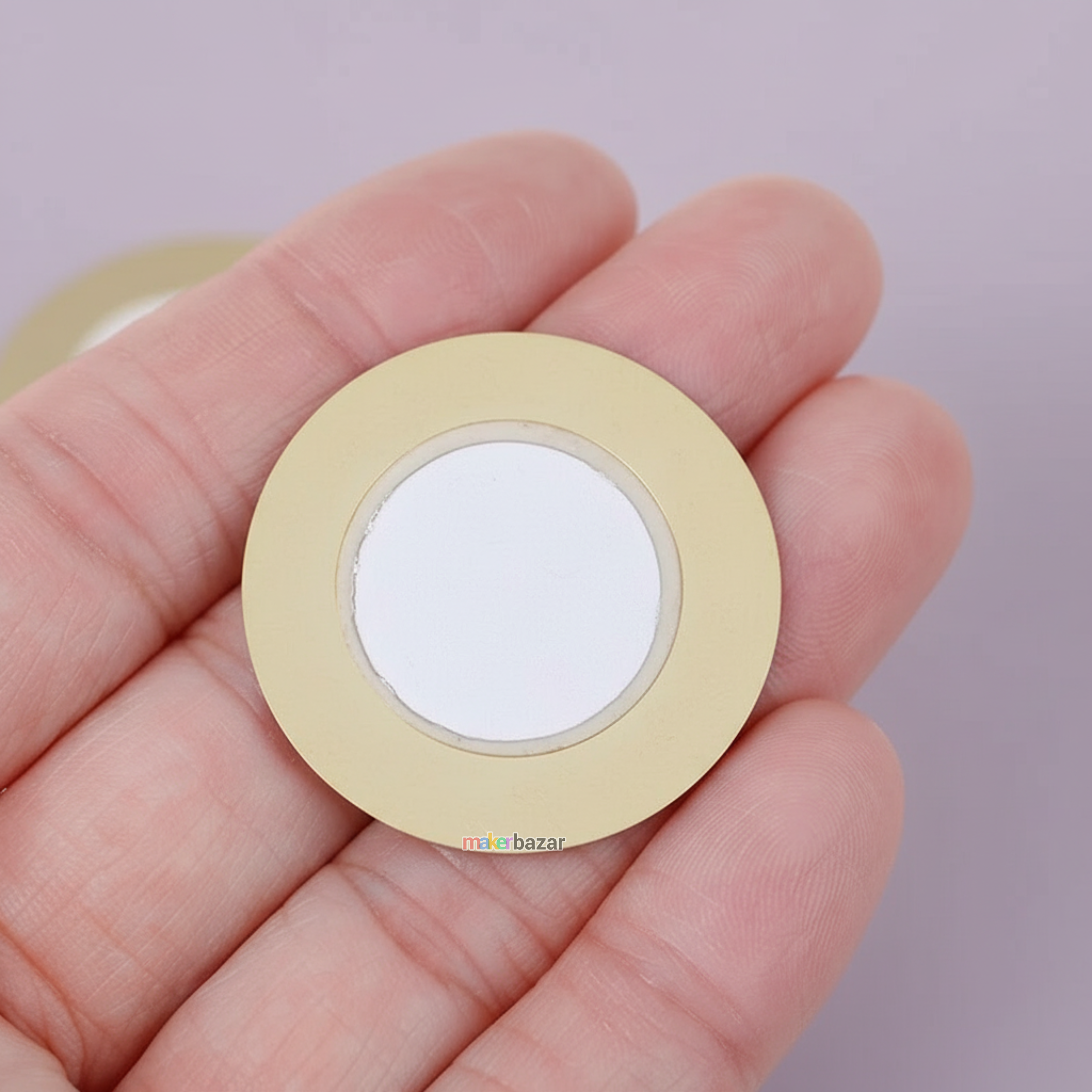 Piezoelectric Sensor/Transducer/Buzzer/Plate