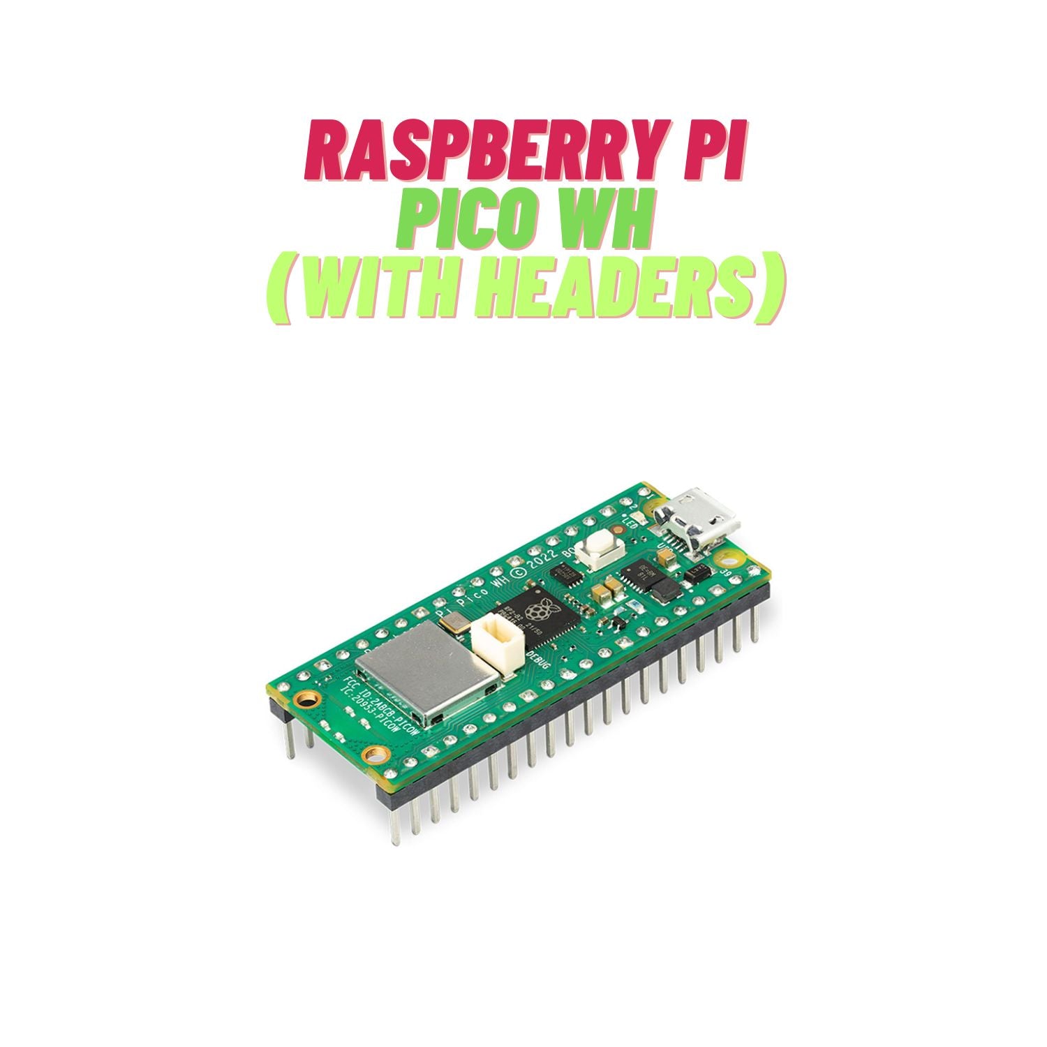 Raspberry Pi Pico Development Boards