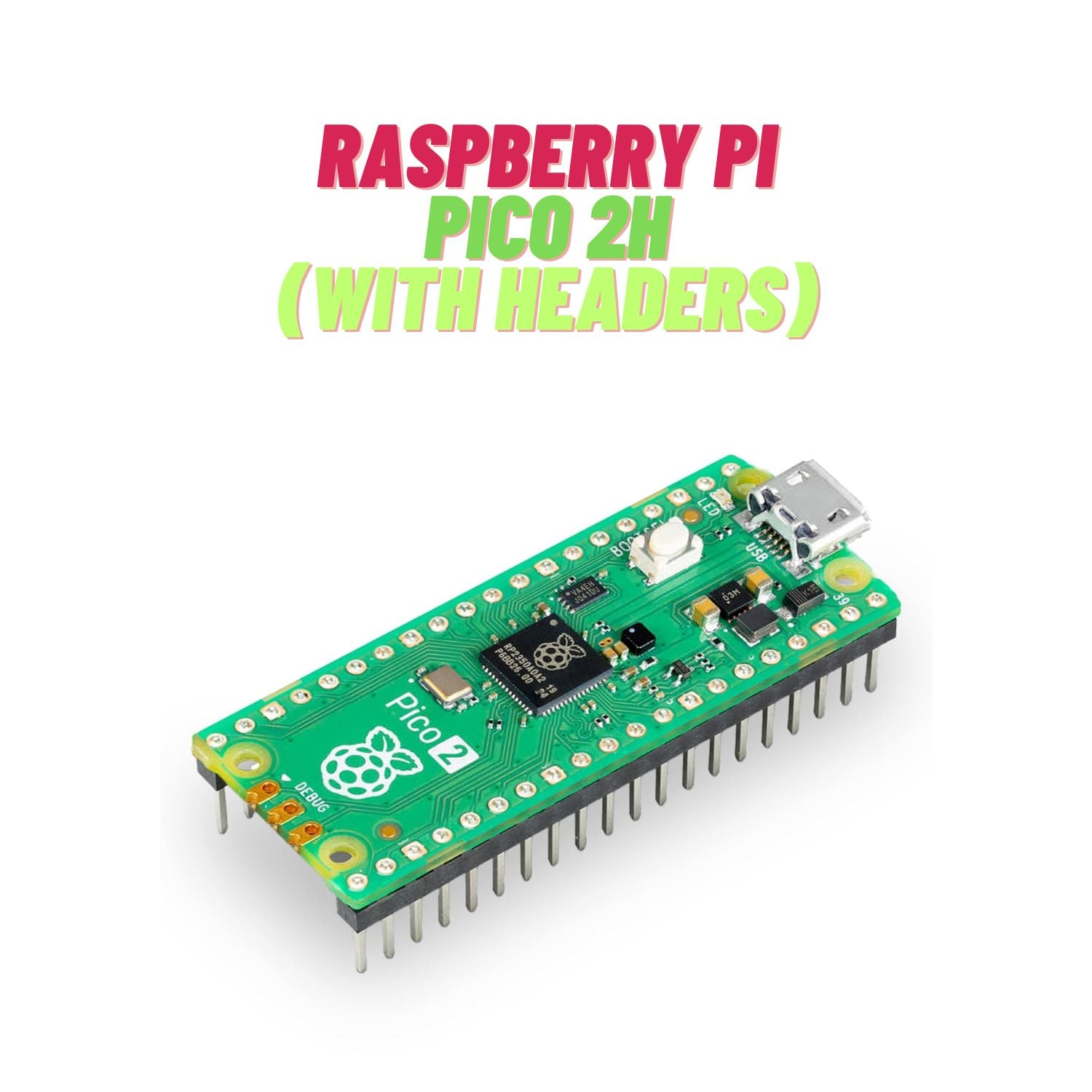 Raspberry Pi Pico Development Boards